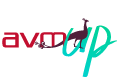 AVM Up